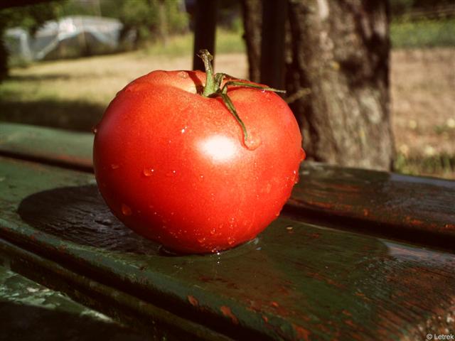 Pomodoro Technique